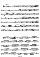 26161-2.webp