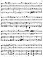 27210-3.webp