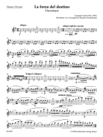 28455-1.webp