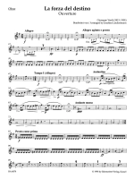 28455-2.webp