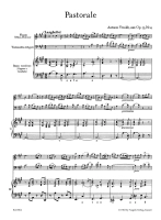 28460-1.webp