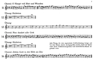 28465-1.webp
