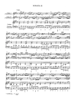 620132de8fcd6.webp