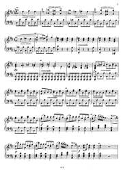 Fils Antonín Concerto Re maggiore