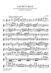 Suk Josef Bagatela (S kyticí v ruce)