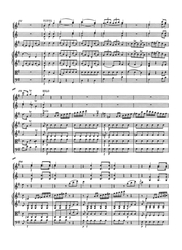Mozart Wolfgang Amadeus Die Werke für Flöte und Orchester