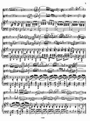 Albert Franz Doppler Andante et Rondo