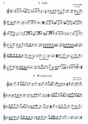 The Recorder Consort