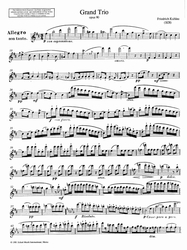 Friedrich Kuhlau Grand Trio
