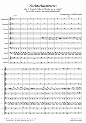 Beutler Irmhild (Arr.)  Nachtschwärmerei, nach dem spanischen Volkslied „Rondar que te rondaria“