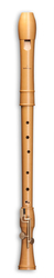 Mollenhauer Canta Tenor, model 2446
