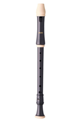 AULOS 209B Robin