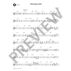 Jim Snidero Easy Jazz Conception Flute