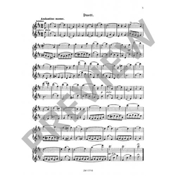 Köhler, Ernesto 20 leichte und melodische Lektionen