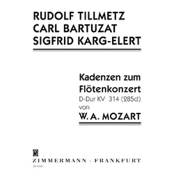 Wolfgang Amadeus Mozart Kadenzen zum Flötenkonzert Nr. 2 D-Dur