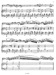 Albert Franz Doppler Nocturne