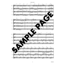Peter Lehel Shuffle, Shuffle
