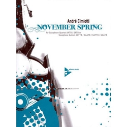 André Cimiotti November Spring