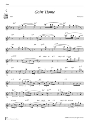 Fred Lipsius Playing Through the Blues - Flute