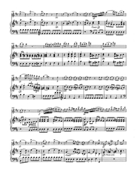 Boccherini Luigi Konzert für Flöte und Streicher D-Dur op. 27