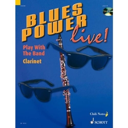 Gernot Dechert Blues Power live!