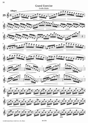 Louis Drouet 25 Studies