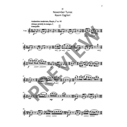 Fazıl Say Flute World