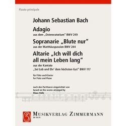 Bach, Johann Sebastian Adagio aus dem Osteroratorium