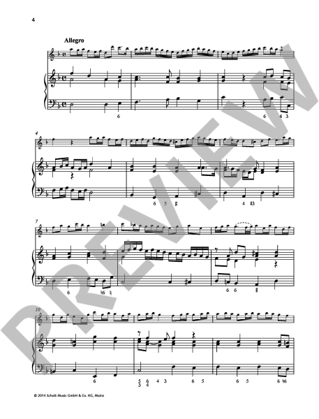 Schott Recorder Library