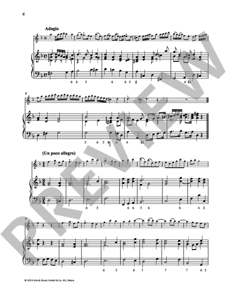 Schott Recorder Library