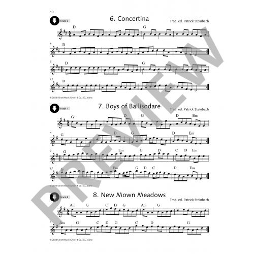 Irish Folk Tunes for Flute