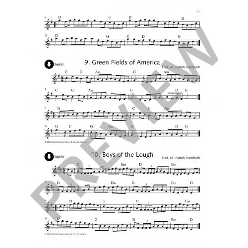 Irish Folk Tunes for Flute