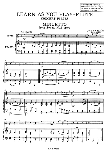 Learn As You Play Flute