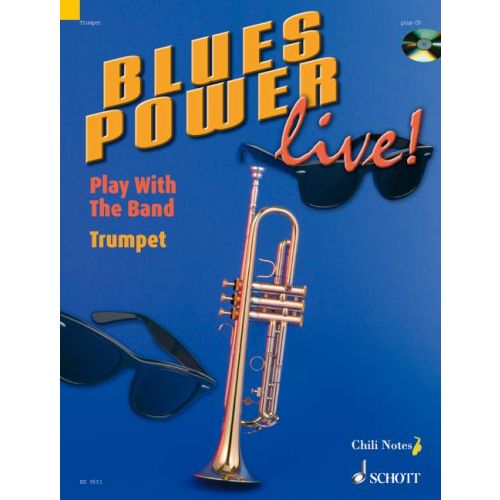 Gernot Dechert Blues Power live!